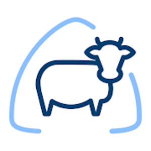 Das Bild der "Pro Q" App